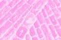 Stone pavement texture background. Pink adn white gradient abstract background. Roads lead to love concept