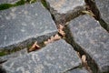 Stone pavement texture. Granite cobblestoned pavement background.  Cobbled stone road regular shapes, abstract background of old c Royalty Free Stock Photo