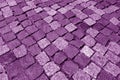 Stone pavement texture in purple tone Royalty Free Stock Photo