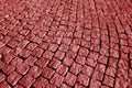 Stone pavement texture in red tone Royalty Free Stock Photo