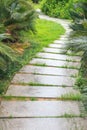 The stone pavement winding its way through a tranquil forest