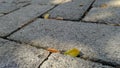Stone paving exterior background Royalty Free Stock Photo