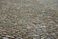 Stone paving medieval, granite, gneiss, small rectangular shape brushed old stones cobblestone paving, path, sidewalk gray brown c