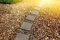 Stone paving walkway in garden Royalty Free Stock Photo