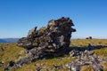 Stone peaks on a mountain plateau against a blue sky. The highlands of the Northern Urals. Kurumnik and taiga grass covering the