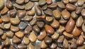 Stone pebble wall as an abstract background. Royalty Free Stock Photo