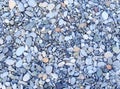 scattering of beach pebbles Royalty Free Stock Photo