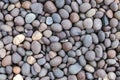 Stone pebbles texture or stone pebbles background. stone pebbles for interior exterior decoration design. Royalty Free Stock Photo