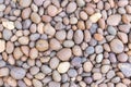 Stone pebbles texture or stone pebbles background. stone pebbles for interior exterior decoration design. Royalty Free Stock Photo