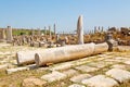 stone in perge asia turkey and roman