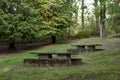 stone picnic area in the middle of the green forest in shady area horizontal