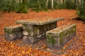 Stone picnic table covered in dry autumn leaves Royalty Free Stock Photo