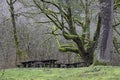 Stone Picnic Tables In Park During Rain Royalty Free Stock Photo