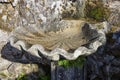 Stone pile conforms to shell, in the cemetery of Cambados, Rias Bajas, Pontevedra, Galicia, Spain