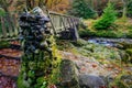Stone pillars of old wooden bridge with mossy rocks in Tollymore Forest Park Royalty Free Stock Photo