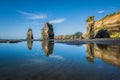 Stone pillars reflecting on the low-tide waters at the Three Sisters and Elephant Rock beach in Tongaporutu in New Zealand Royalty Free Stock Photo