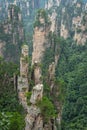 Stone pillars of Tianzi mountains in Zhangjiajie