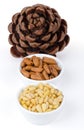 Stone pine cone with seeds and nuts over white