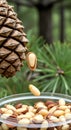 Stone pine pine nut and pine cone. Royalty Free Stock Photo