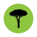 stone pine tree in green badge icon Royalty Free Stock Photo
