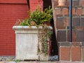 Stone planter against brick wall, closeup