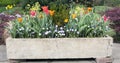 Stone planter filled with flowers.