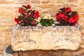 Stone planter, filled with red and white flowers