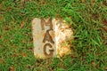 Stone plaques from the Mines Advisory Group mark the location of unexploded bombs made safe in the Plain of Jars archaeological si