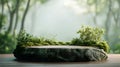Stone platform with greenery on top in a forest setting for product presentation and display Royalty Free Stock Photo