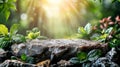 A stone platform in a lush sunlit forest