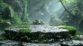 stone podium with green moss on forest background, for advertising eco-friendly products or goods Royalty Free Stock Photo