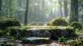 stone podium with green moss on forest background with sunlight, for advertising eco-friendly products or goods, copy space Royalty Free Stock Photo