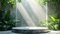 Stone podium in a jungle setting with dramatic sunbeams and lush foliage display stage Royalty Free Stock Photo