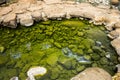 Stone pond of clear green water