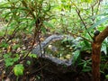 Stone Pond With Water