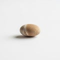 The stone is positioned upright on a white background, casting a subtle shadow Royalty Free Stock Photo