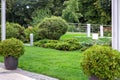 Stone pot with an evergreen bush on a walkway. Royalty Free Stock Photo