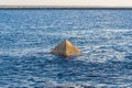 A stone pyramid protruding from the water.