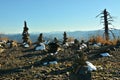 Stone pyramids covered with the first snow and a dried pine tree trunk on the top of a mountain with a view of the mountain taiga Royalty Free Stock Photo