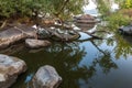 Stone rapids on the river a misty morning. Royalty Free Stock Photo