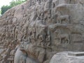 Stone Relief, Arjuna's penance, Mahabalipuram, India Royalty Free Stock Photo