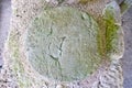 Stone relief at Maya archaeological site Caracol in Belize Royalty Free Stock Photo