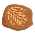 Stone remains biology icon cartoon vector. Ground stone mud