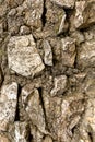 Stone rigid vertical wall background gray and uneven pattern Royalty Free Stock Photo