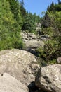 Stone river know as Zlatnite Mostove at Vitosha Mountain,  Bulgaria Royalty Free Stock Photo