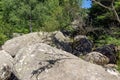 Stone river know as Zlatnite Mostove at Vitosha Mountain,  Bulgaria Royalty Free Stock Photo