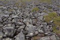 The stone river. Kurumnik - a gray stone placer Northern Urals. Russia.