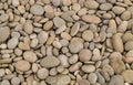 Stone river pebble beige gray natural background Royalty Free Stock Photo