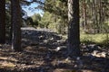 Stone river in the Sierra de Tremedal (Teruel). Royalty Free Stock Photo