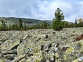 The stone river. View of Martay Range. The Northern Urals. Russia